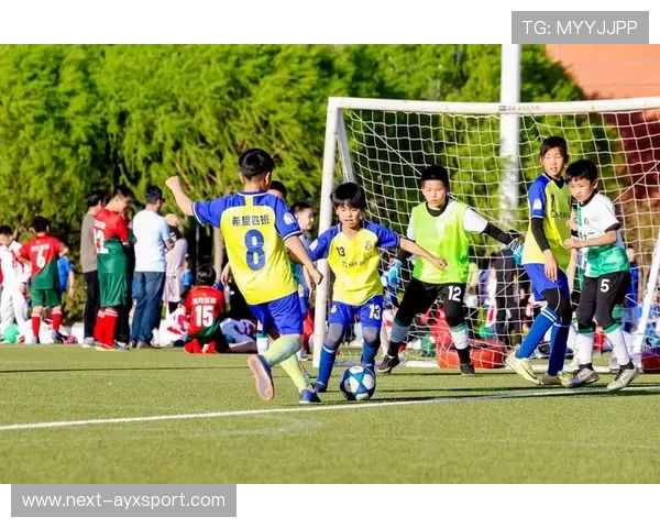 足球新闻报道：最新足球资讯，一手掌握，最新的足球新闻