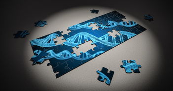 爱游戏体育(AYX)官方APP下载-篮球专项技能动作稳定性提升研究,篮球运动技能