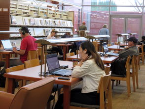 爱游戏真人体育娱乐-高校学生体育社团多元化发展路径与实践研究，重视高校体育社团建设不是大学生