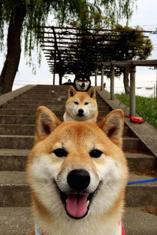 爱游戏官方论坛-热火球队口号被球迷写进纹身里，热火队的口号中文